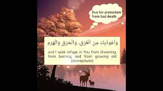 Dua for protection from bad death