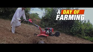 A Day of Farming with SRAJA Power Weeder R107 | Village Farming | Hand Tiller | Hand Tractor |  4k