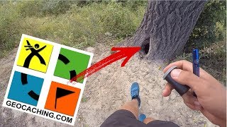 Geocaching skarb w drzewie