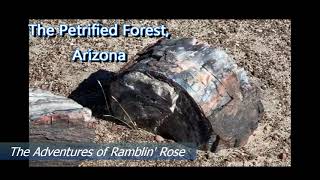 34 Petrified Forest