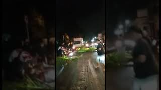 pohon tumbang akibat angin kencang kemarin kena orang yang lagi lewat