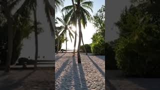 Summer Island Maldives tour is out, watch the video #shorts #summerisland #maldives #maldivesresorts