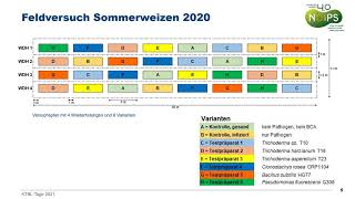 Monitoring-System für Pflanzenkrankheiten sowie Erprobung neuer BCAs für das NOcsPS-Anbausystem