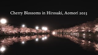 Cherry Blossoms in Hirosaki Park, Aomori JAPAN 2023 - Cinematic 4K Video | Sony A7SIII