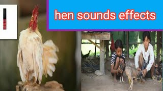 Hen Sound Effect, Hen sounds, Hen noise, Chicken sounds,cow doctor by mithu ahmed