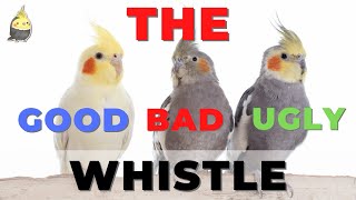 THE GOOD, BAD AND UGLY THEME with WHISTLE - Cockatiel Sounds - Parrot Songs