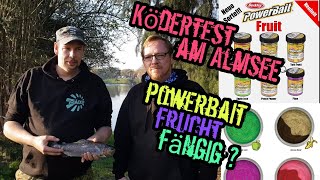 Die Kühlbox muss voll Ködertest Am Almsee Varel ! Powerbait Frucht ! Cam Trout Bait ! Auslosung !!!!