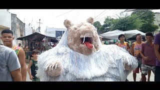 urso se vestindo na feira de Gameleira