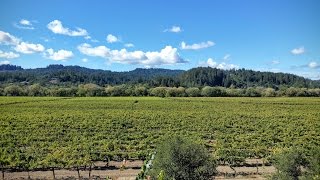 Views of Sonoma County, California