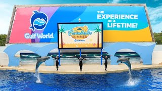 Dolphin show @ Panama City Beach