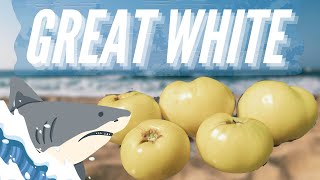 Tomato Tasting (Great White) [Adv.46]