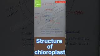 #structure#chloroplast#cuetexam#cuet2024#cuetpg#shortvideo#shortviral