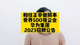 和任正非做同事，世界500强企业，华为集团2023招聘公告