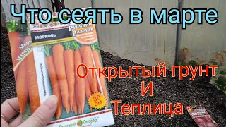 Что посадить в марте. Посев в открытый грунт и в неотапливаемую теплицу