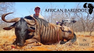 Harvesting a Blue Wildebeest in South Africa