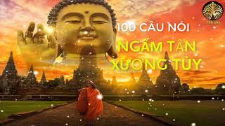 100 Câu Nói Thâm Thúy về cuộc sống giúp bạn tỉnh ngộ Nghe đọc truyện đêm khuya phật giáo hay nhất