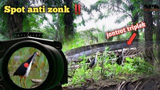 TAK DISANGKA HUNTING RUAK RUAK DISAWITAN SAAT HUJAN REDA