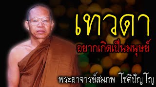 เทวดา อยากเกิดเป็นมนุษย์ หลวงพ่อสมภพ #สติ #ธรรมะ #ธรรมะสอนใจ #สมาธิ #พระอาจารย์สมภพ #คติธรรม