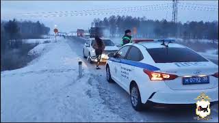 В Ангарске полицейские оказали помощь замерзающим водителю и пассажиру