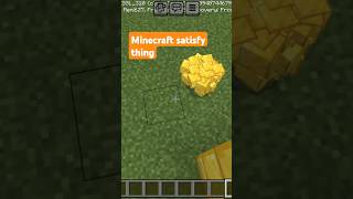 Minecraft satisfy thing