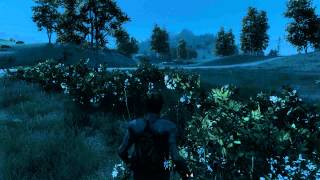 H1Z1 - Night time stroll