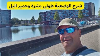 شرح الوضعية طوني بشرة وحمير اليل #mohamed_radia