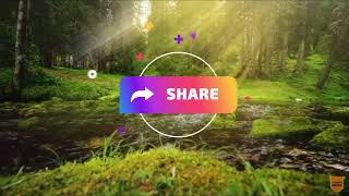 Forest Sounds for Deep Relaxation - Sounds for Daily Meditation #Shorts