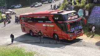 artis bus telolet kedatangan rombongan bus  trip mania