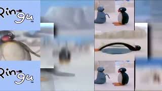 3 pingu ￼scan￼s