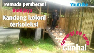 Proses pembuatan kandang koloni