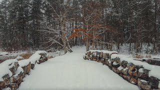 Walking in a Snow Forest - Relaxing Nature Sounds, Crunching Snow ❄️