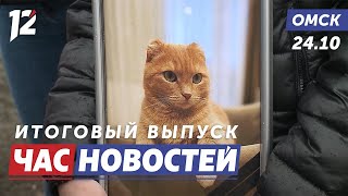 Убийства котов / Выставка про Петра 1 / Новый микроскоп. Новости Омска