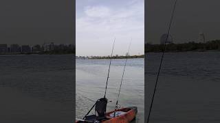 Exploring the mangroves around Yas Island. #yasisland #abudhabi #kayakfishing #fishing #adventure