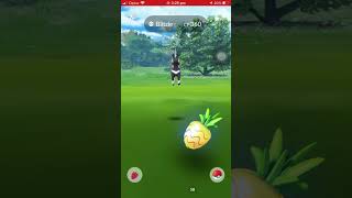 CHARGED-UP LIMITED SHINY RESEARCH DAY PAYED RESEARCH POKÉMON GO #youtube #viral #trending #tiktok