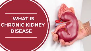 What is Chronic Kidney Disease (CKD) | Causes & Symptoms of Chronic Kidney Disease| Healthie Genie