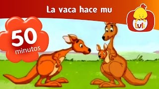 La vaca hace mu - Capítulo especial de 50 minutos  | Cartoon para Niños - Luli TV