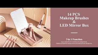 Travel Size Make-up Brush Kit with LED Light Mirror Product Review