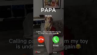 Puppy calling his papa!☎️🐶📲#dog#shorts#youtubeshorts#funny#comedy