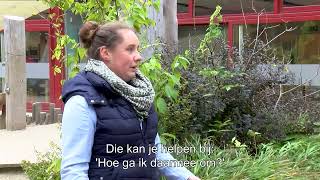 Tip 2 Beheer en onderhoud - Groenblauwe schoolpleinen