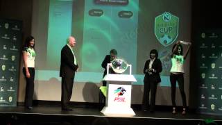 2012 Nedbank Cup quarterfinals draw