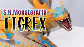 S.H.MonsterArts TIGREX / ティガレックス display