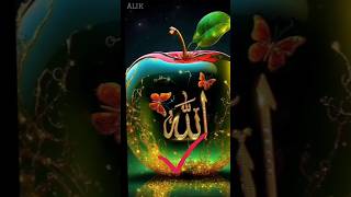 allah best short video #trending #islam #allah #shorts