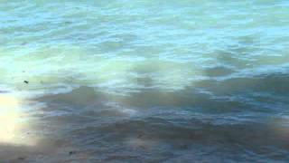 Kaneohe Bay and Chinaman's Hat