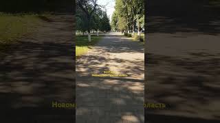 Новомосковск Тульская область #тульскаяобласть #новомосковск #клумба