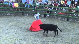 PROMESES DE LA ESCOLA TAURINA CASTELLON (PORTELL 2013)