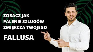 Jak nie chorować? Dlaczego cynk jest najlepszym przyjacielem Twojego testosteronu? | #MZMZ