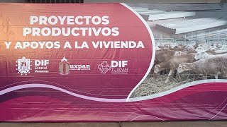 🔴 En Vivo 🎥  Entrega de proyectos productivos Plaza cívica de Tuxpan Veracruz