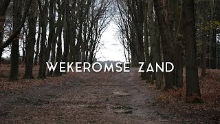 walking around Wekeromse Zand