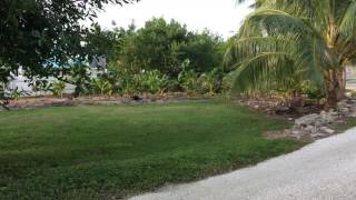 AN OCEAN VIEW  PRIVATE AND PEACEFUL THE PALM TREE HOUSE - CUDJOE KEY, FLORID KEYS