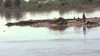 Floods in Sindh 2011 - Petarian Foundation relief work in Sanghar - 05